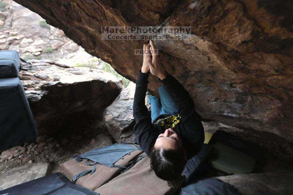 

Filename: SRM_20211126_1430350.jpg
Aperture: f/4.5
Shutter Speed: 1/400
Body: Canon EOS R6
Lens: Canon EF 16-35mm f/2.8 L