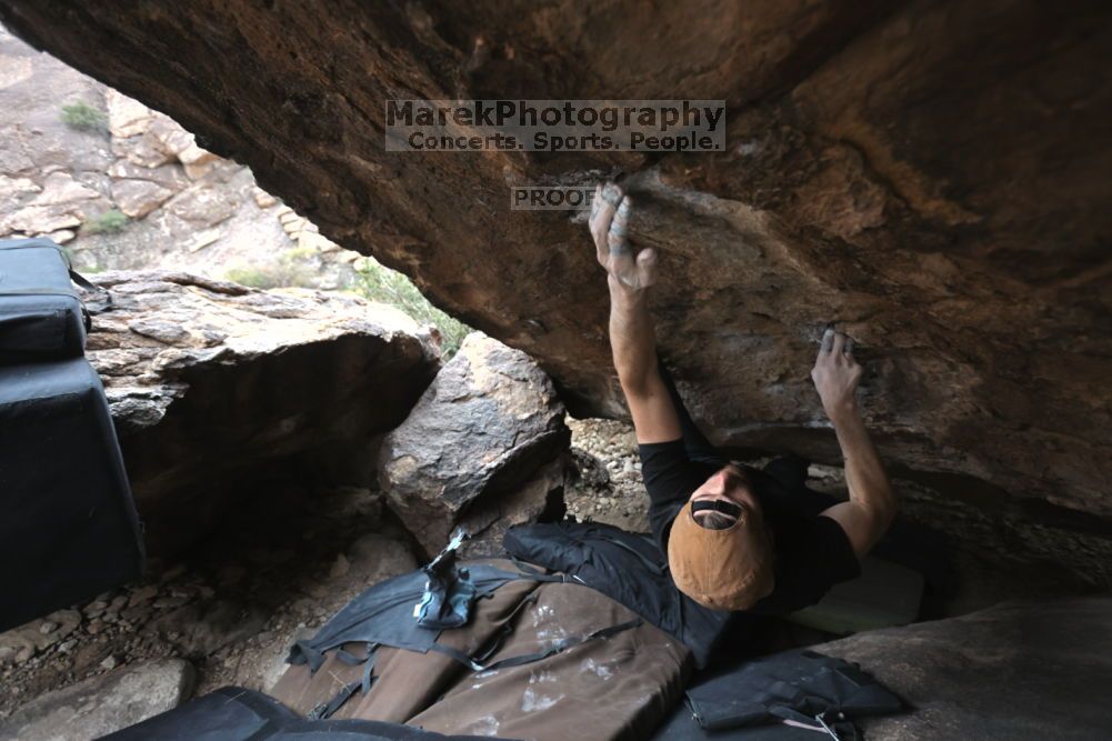 Filename: SRM_20211126_1437480.jpg
Aperture: f/4.5
Shutter Speed: 1/400
Body: Canon EOS R6
Lens: Canon EF 16-35mm f/2.8 L