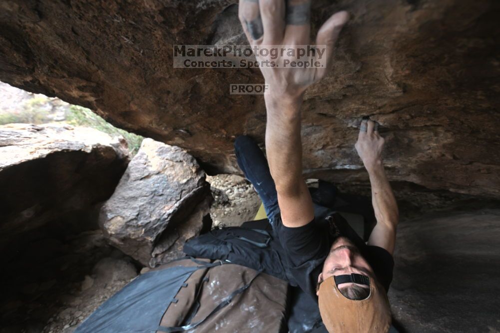 Filename: SRM_20211126_1440000.jpg
Aperture: f/4.5
Shutter Speed: 1/400
Body: Canon EOS R6
Lens: Canon EF 16-35mm f/2.8 L