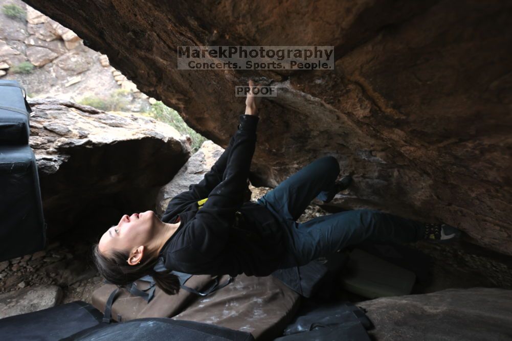 Filename: SRM_20211126_1442120.jpg
Aperture: f/4.5
Shutter Speed: 1/400
Body: Canon EOS R6
Lens: Canon EF 16-35mm f/2.8 L