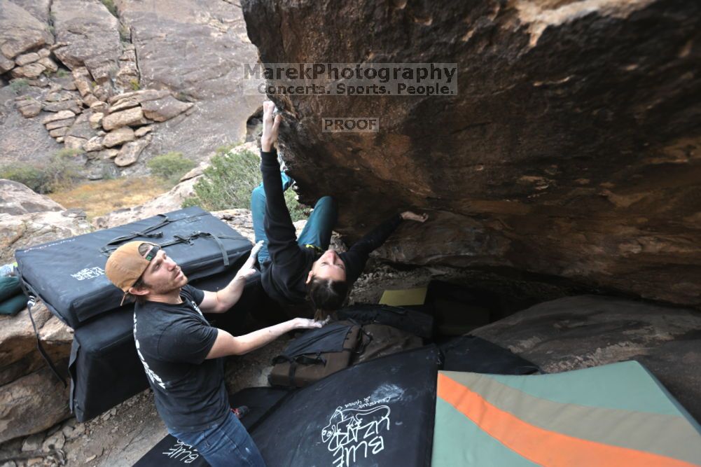 Filename: SRM_20211126_1442270.jpg
Aperture: f/4.5
Shutter Speed: 1/400
Body: Canon EOS R6
Lens: Canon EF 16-35mm f/2.8 L