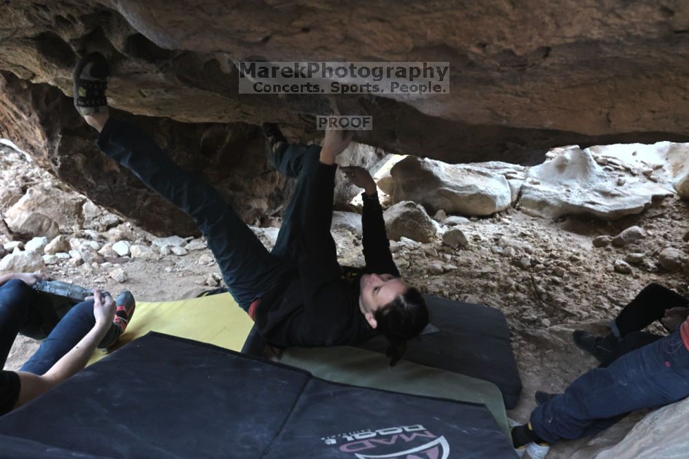 Filename: SRM_20211126_1458121.jpg
Aperture: f/5.6
Shutter Speed: 1/400
Body: Canon EOS R6
Lens: Canon EF 16-35mm f/2.8 L