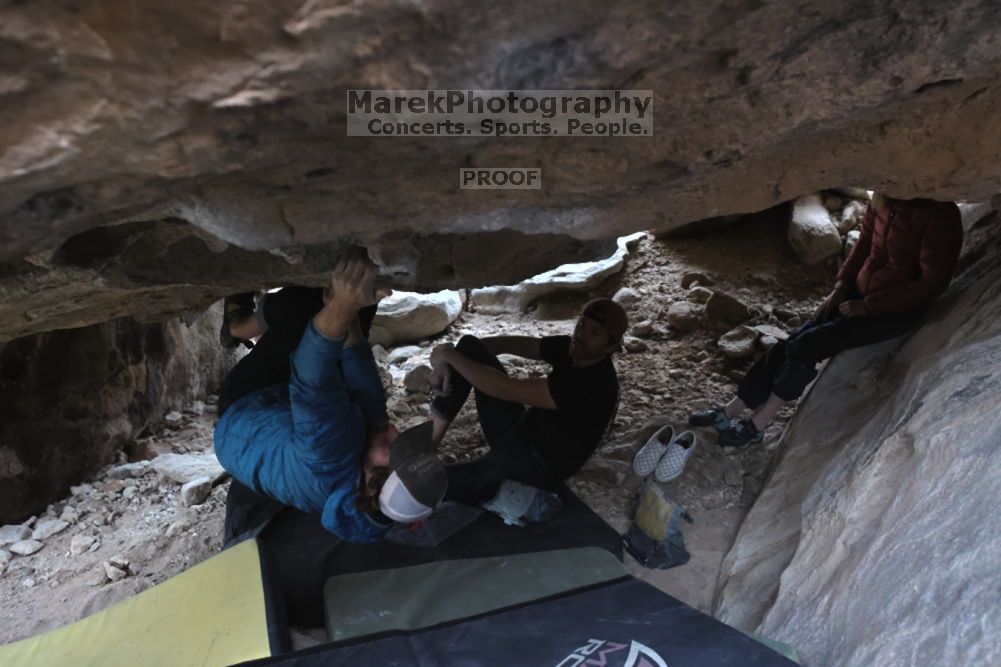 

Filename: SRM_20211126_1504300.jpg
Aperture: f/5.6
Shutter Speed: 1/400
Body: Canon EOS R6
Lens: Canon EF 16-35mm f/2.8 L