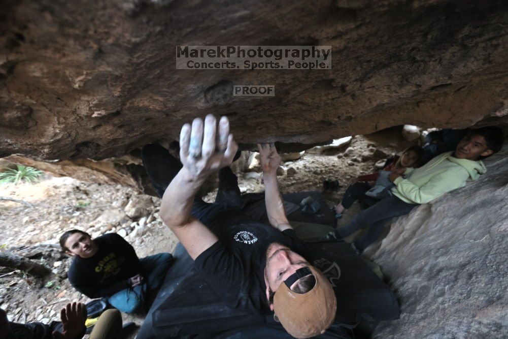

Filename: SRM_20211126_1509320.jpg
Aperture: f/4.0
Shutter Speed: 1/250
Body: Canon EOS R6
Lens: Canon EF 16-35mm f/2.8 L