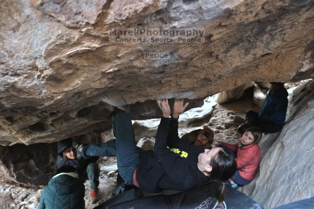 

Filename: SRM_20211126_1518450.jpg
Aperture: f/4.0
Shutter Speed: 1/250
Body: Canon EOS R6
Lens: Canon EF 16-35mm f/2.8 L