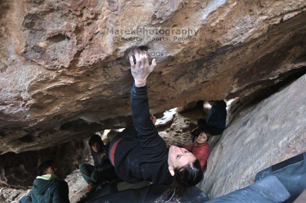 

Filename: SRM_20211126_1518530.jpg
Aperture: f/4.0
Shutter Speed: 1/250
Body: Canon EOS R6
Lens: Canon EF 16-35mm f/2.8 L