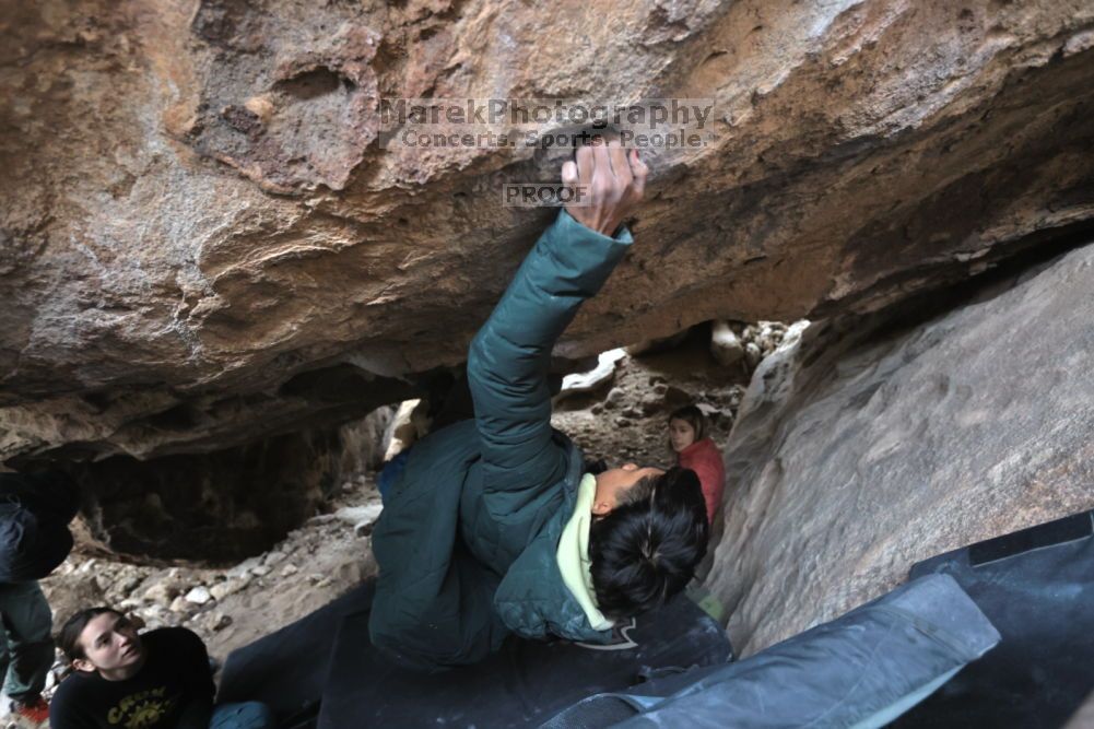 Filename: SRM_20211126_1519531.jpg
Aperture: f/4.0
Shutter Speed: 1/250
Body: Canon EOS R6
Lens: Canon EF 16-35mm f/2.8 L