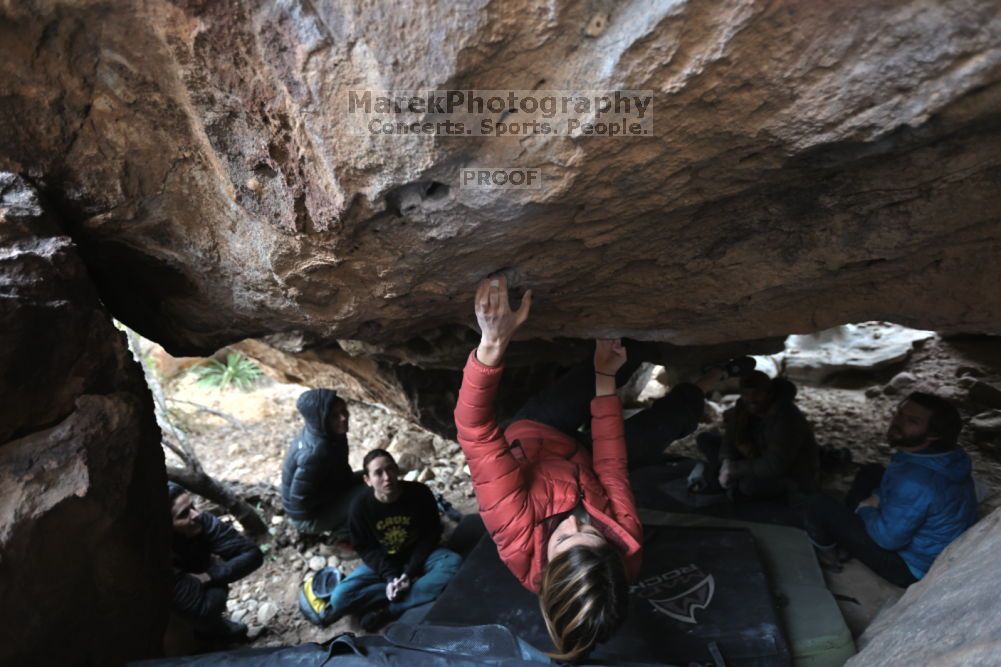 Filename: SRM_20211126_1524590.jpg
Aperture: f/2.8
Shutter Speed: 1/250
Body: Canon EOS R6
Lens: Canon EF 16-35mm f/2.8 L