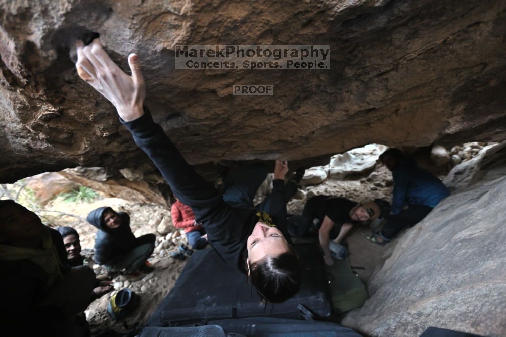 

Filename: SRM_20211126_1526330.jpg
Aperture: f/3.2
Shutter Speed: 1/250
Body: Canon EOS R6
Lens: Canon EF 16-35mm f/2.8 L