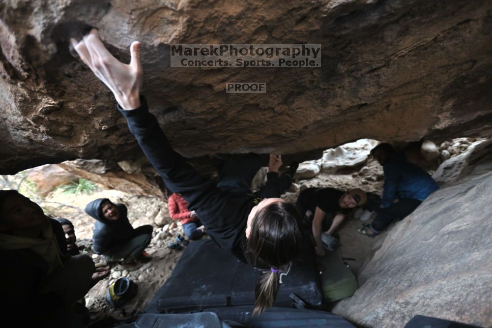 Filename: SRM_20211126_1526340.jpg
Aperture: f/2.8
Shutter Speed: 1/250
Body: Canon EOS R6
Lens: Canon EF 16-35mm f/2.8 L