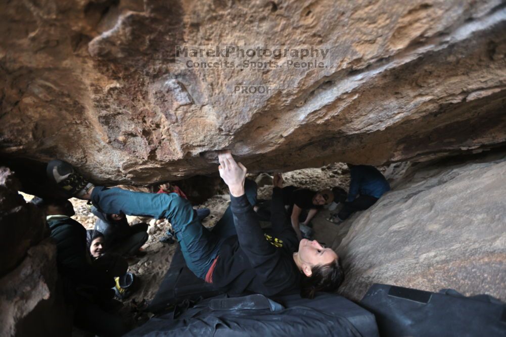 

Filename: SRM_20211126_1526410.jpg
Aperture: f/2.8
Shutter Speed: 1/250
Body: Canon EOS R6
Lens: Canon EF 16-35mm f/2.8 L