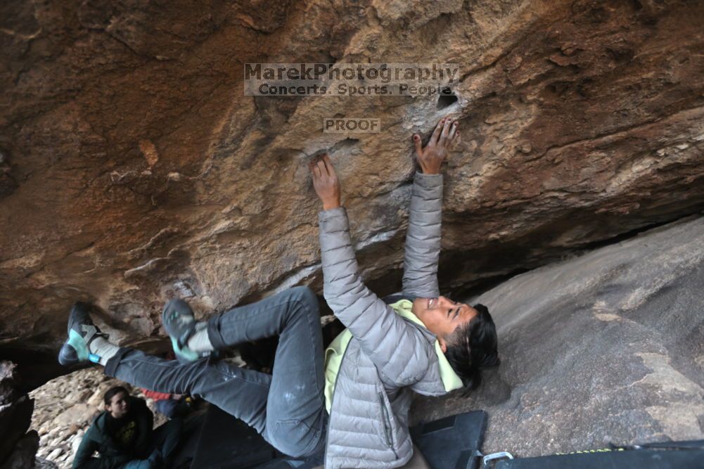 

Filename: SRM_20211126_1535160.jpg
Aperture: f/4.0
Shutter Speed: 1/250
Body: Canon EOS R6
Lens: Canon EF 16-35mm f/2.8 L