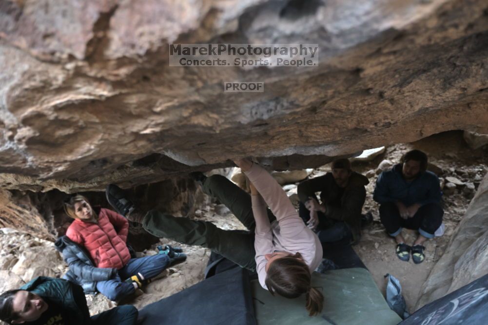 Filename: SRM_20211126_1537500.jpg
Aperture: f/3.5
Shutter Speed: 1/250
Body: Canon EOS R6
Lens: Canon EF 16-35mm f/2.8 L