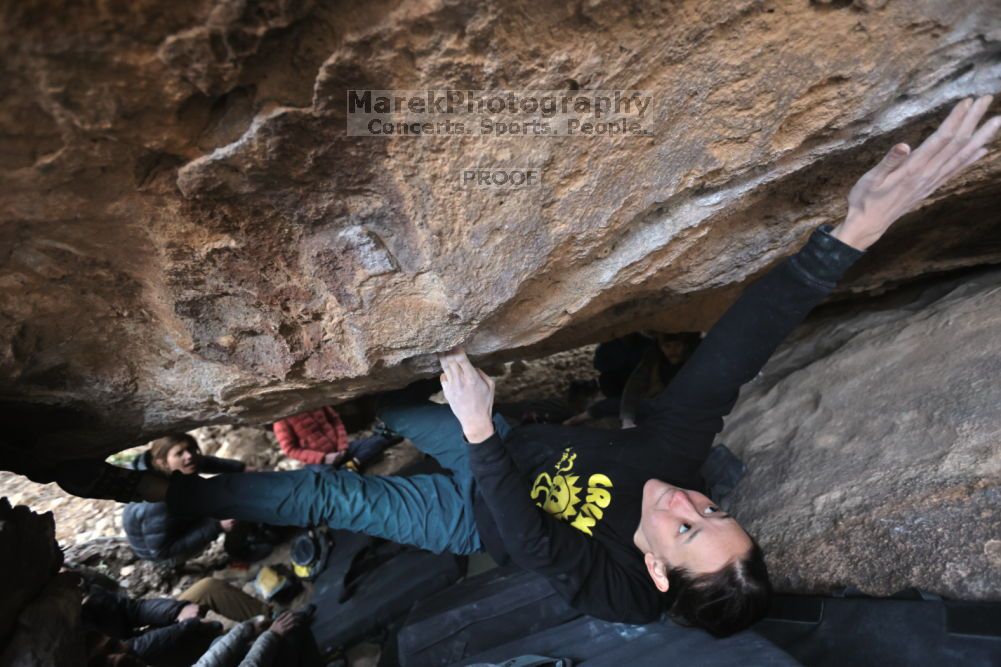 Filename: SRM_20211126_1539270.jpg
Aperture: f/3.5
Shutter Speed: 1/250
Body: Canon EOS R6
Lens: Canon EF 16-35mm f/2.8 L