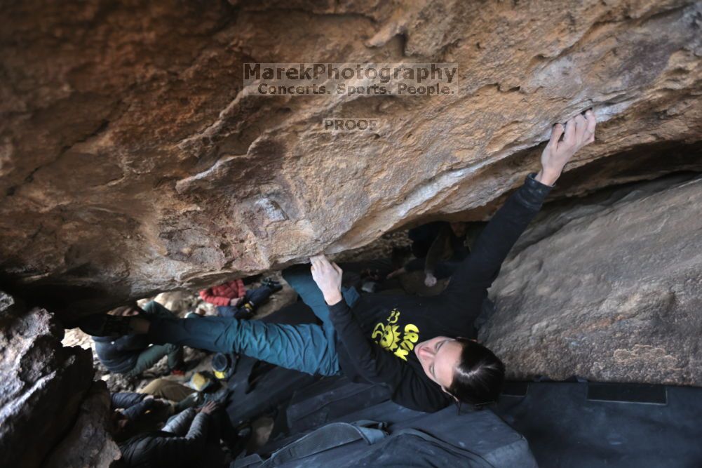 

Filename: SRM_20211126_1539281.jpg
Aperture: f/3.5
Shutter Speed: 1/250
Body: Canon EOS R6
Lens: Canon EF 16-35mm f/2.8 L