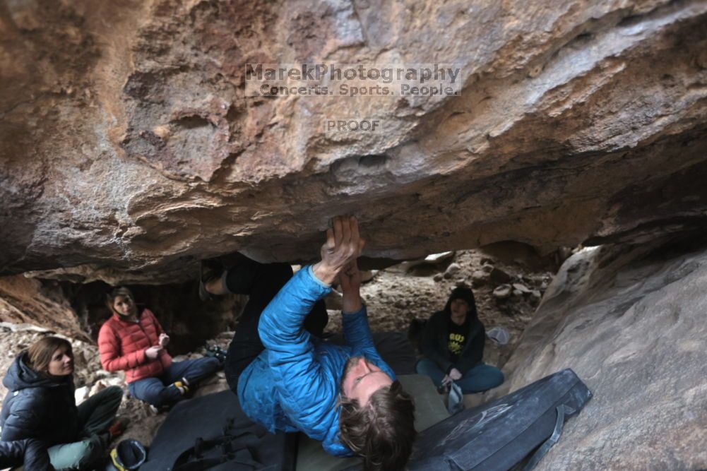 Filename: SRM_20211126_1542180.jpg
Aperture: f/3.5
Shutter Speed: 1/250
Body: Canon EOS R6
Lens: Canon EF 16-35mm f/2.8 L