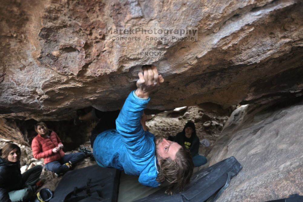 Filename: SRM_20211126_1542210.jpg
Aperture: f/3.5
Shutter Speed: 1/250
Body: Canon EOS R6
Lens: Canon EF 16-35mm f/2.8 L