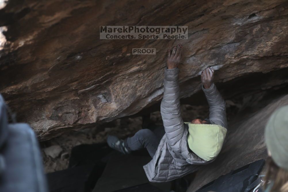 

Filename: SRM_20211126_1615180.jpg
Aperture: f/2.8
Shutter Speed: 1/250
Body: Canon EOS R6
Lens: Canon EF 50mm f/1.8 II