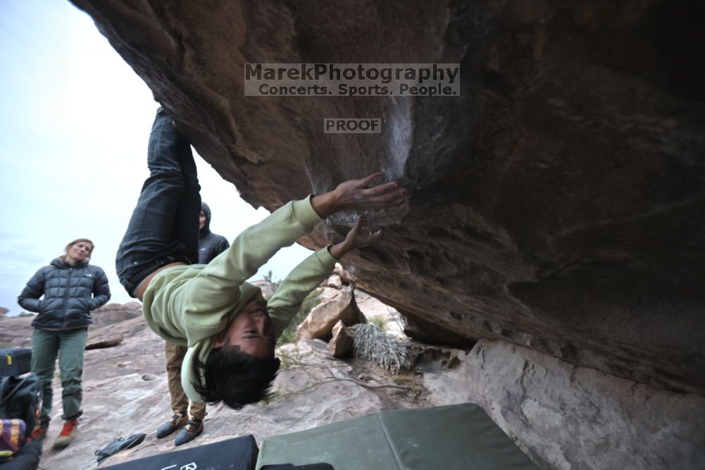 Filename: SRM_20211126_1651150.jpg
Aperture: f/2.8
Shutter Speed: 1/250
Body: Canon EOS R6
Lens: Canon EF 16-35mm f/2.8 L