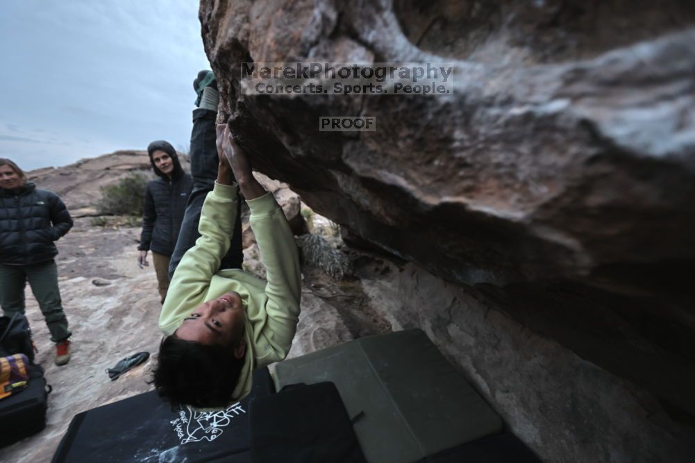 Filename: SRM_20211126_1651180.jpg
Aperture: f/2.8
Shutter Speed: 1/250
Body: Canon EOS R6
Lens: Canon EF 16-35mm f/2.8 L