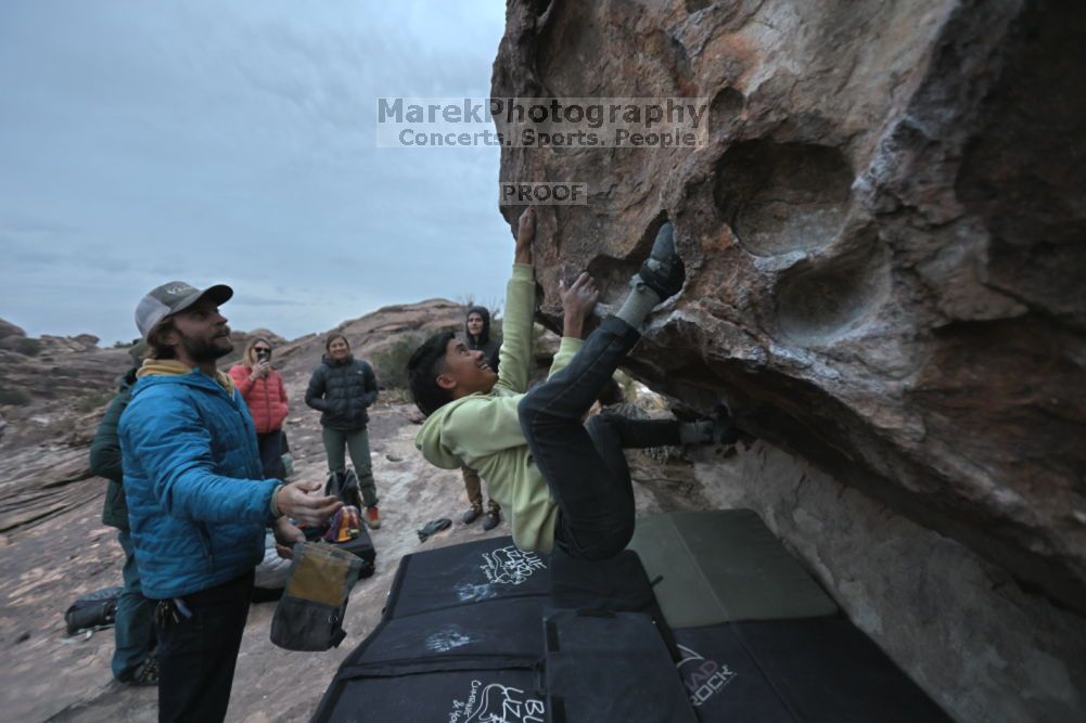 Filename: SRM_20211126_1651390.jpg
Aperture: f/2.8
Shutter Speed: 1/250
Body: Canon EOS R6
Lens: Canon EF 16-35mm f/2.8 L