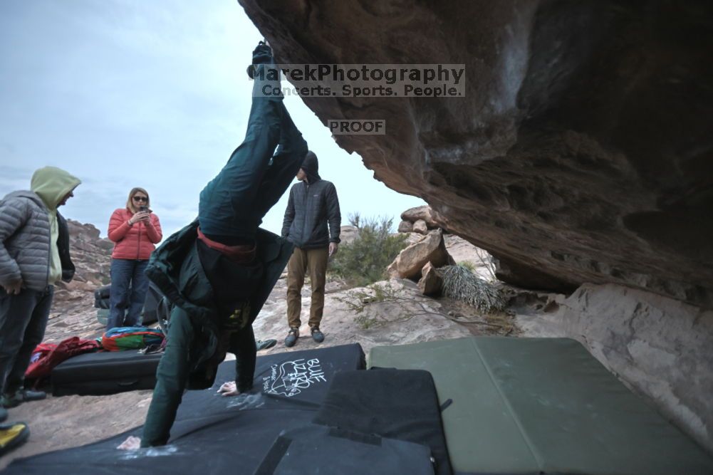 

Filename: SRM_20211126_1653340.jpg
Aperture: f/2.8
Shutter Speed: 1/250
Body: Canon EOS R6
Lens: Canon EF 16-35mm f/2.8 L