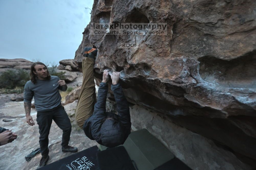 Filename: SRM_20211126_1700120.jpg
Aperture: f/4.0
Shutter Speed: 1/250
Body: Canon EOS R6
Lens: Canon EF 16-35mm f/2.8 L