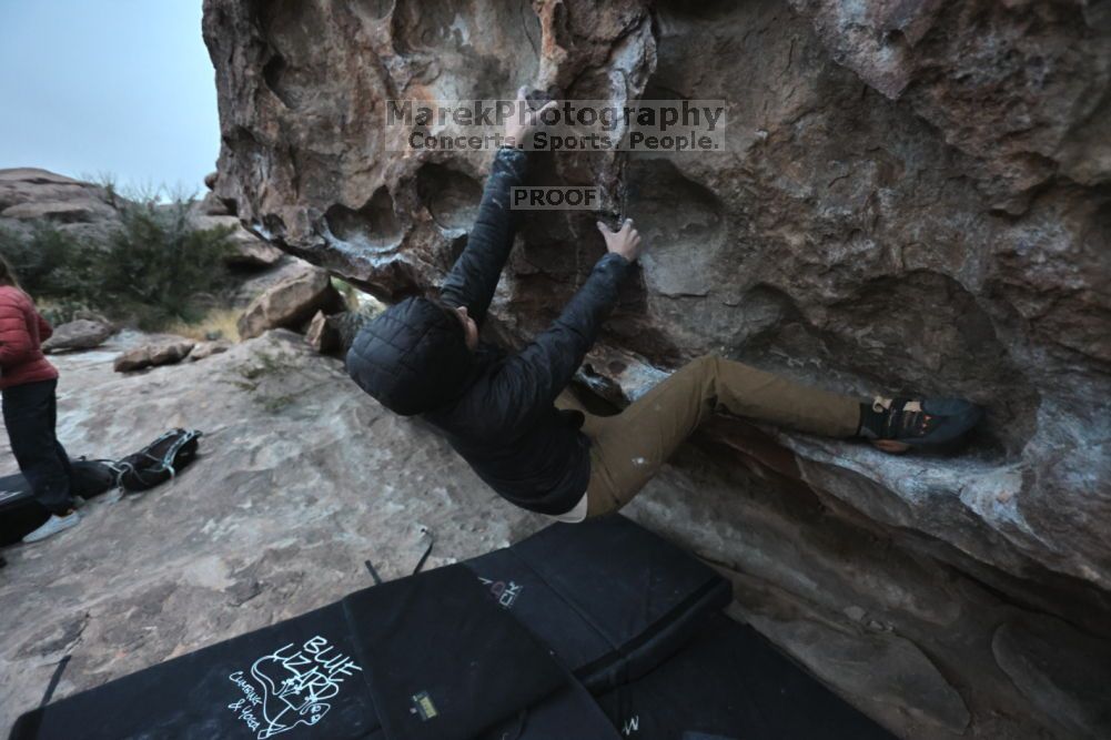 Filename: SRM_20211126_1703080.jpg
Aperture: f/4.0
Shutter Speed: 1/250
Body: Canon EOS R6
Lens: Canon EF 16-35mm f/2.8 L