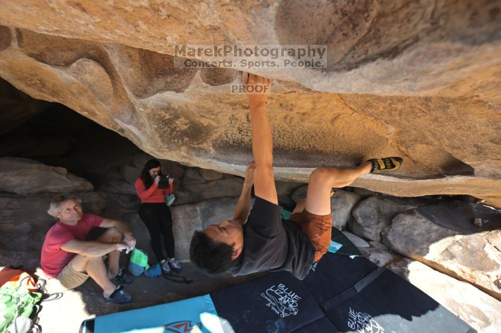 

Filename: SRM_20211203_1044590.jpg
Aperture: f/5.6
Shutter Speed: 1/500
Body: Canon EOS R6
Lens: Canon EF 16-35mm f/2.8 L