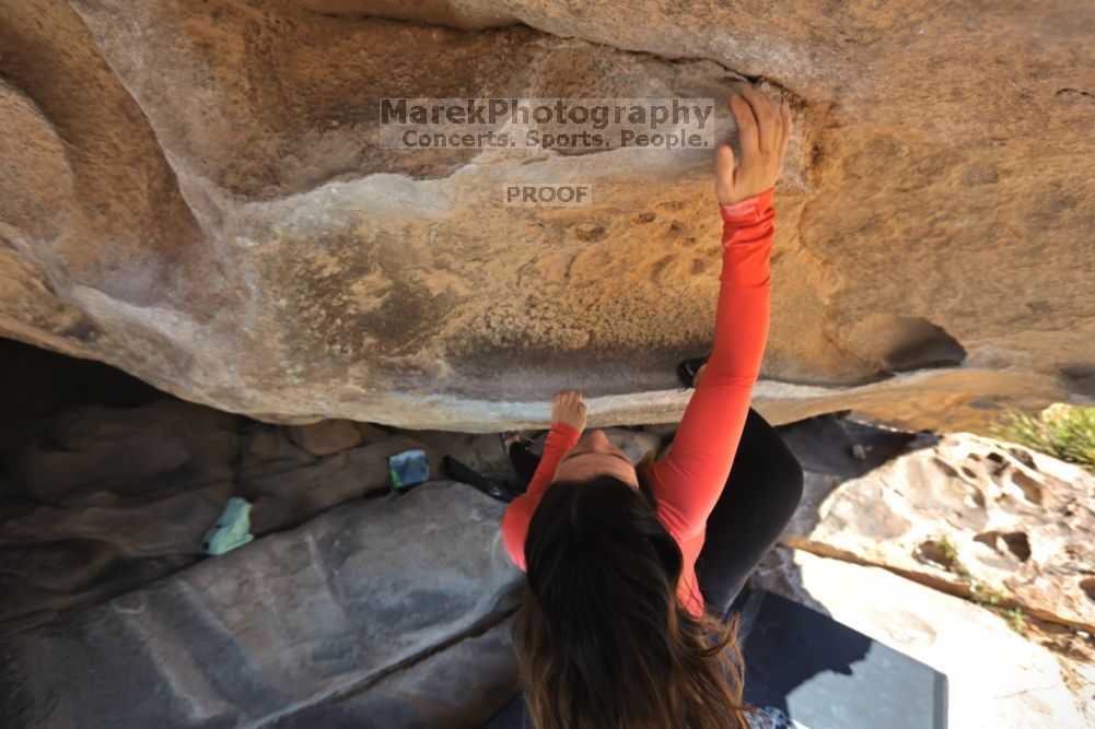 

Filename: SRM_20211203_1052460.jpg
Aperture: f/5.6
Shutter Speed: 1/500
Body: Canon EOS R6
Lens: Canon EF 16-35mm f/2.8 L