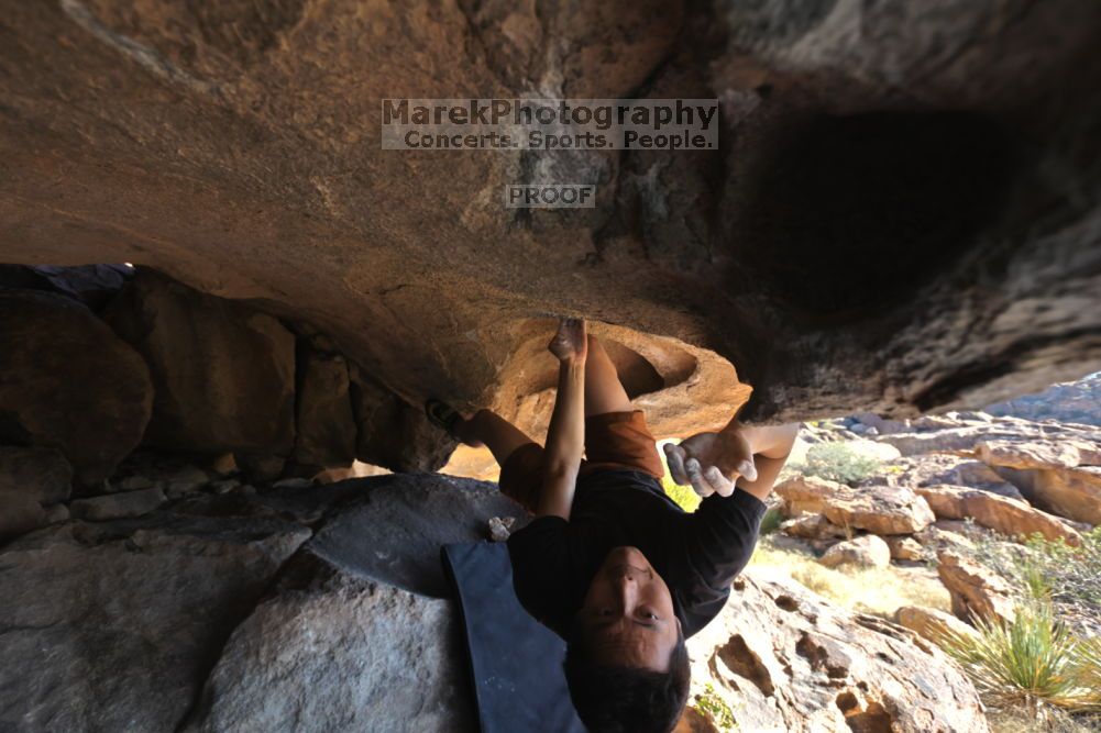 

Filename: SRM_20211203_1129171.jpg
Aperture: f/5.6
Shutter Speed: 1/500
Body: Canon EOS R6
Lens: Canon EF 16-35mm f/2.8 L