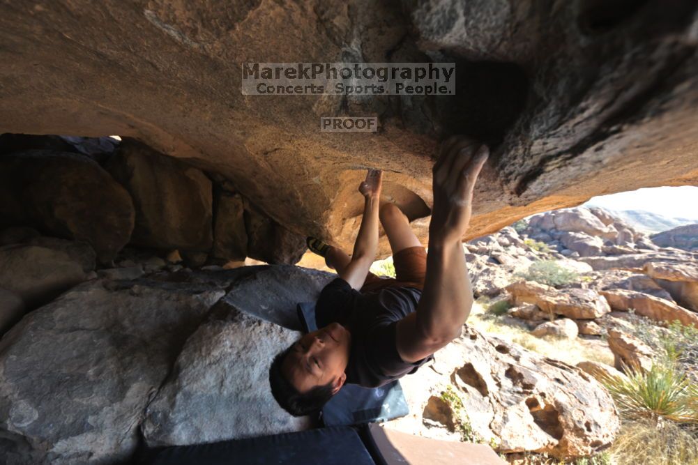 

Filename: SRM_20211203_1129181.jpg
Aperture: f/5.6
Shutter Speed: 1/500
Body: Canon EOS R6
Lens: Canon EF 16-35mm f/2.8 L