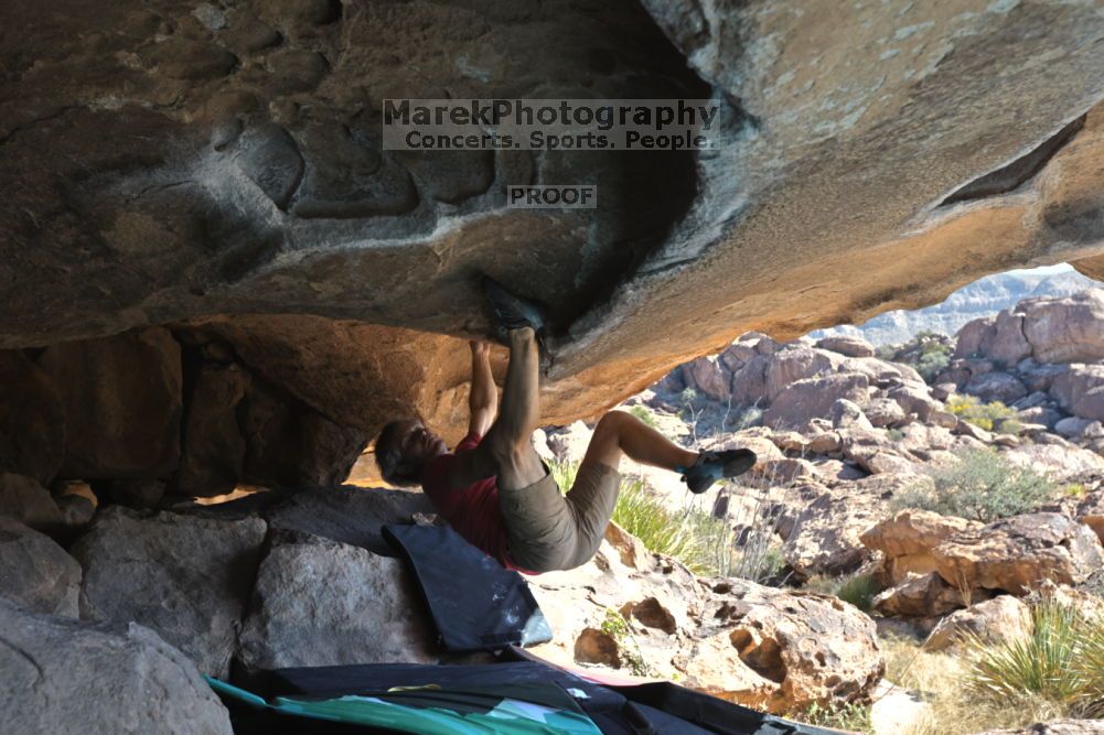 

Filename: SRM_20211203_1133470.jpg
Aperture: f/5.6
Shutter Speed: 1/500
Body: Canon EOS R6
Lens: Canon EF 16-35mm f/2.8 L