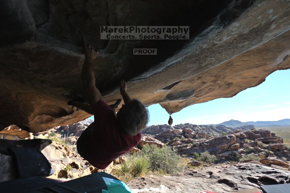 

Filename: SRM_20211203_1142410.jpg
Aperture: f/5.6
Shutter Speed: 1/500
Body: Canon EOS R6
Lens: Canon EF 16-35mm f/2.8 L