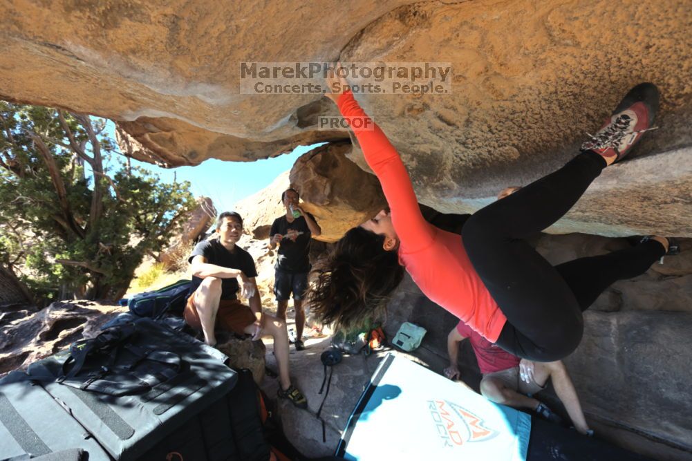 

Filename: SRM_20211203_1209100.jpg
Aperture: f/5.6
Shutter Speed: 1/500
Body: Canon EOS R6
Lens: Canon EF 16-35mm f/2.8 L