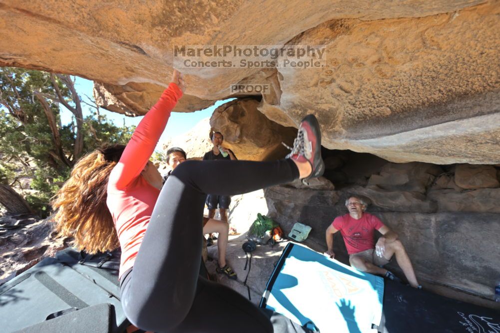 

Filename: SRM_20211203_1209181.jpg
Aperture: f/5.6
Shutter Speed: 1/500
Body: Canon EOS R6
Lens: Canon EF 16-35mm f/2.8 L