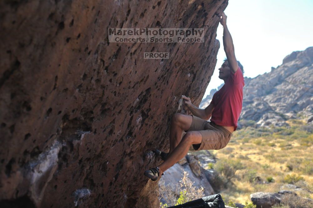 

Filename: SRM_20211203_1421110.jpg
Aperture: f/4.0
Shutter Speed: 1/500
Body: Canon EOS R6
Lens: Canon EF 50mm f/1.8 II