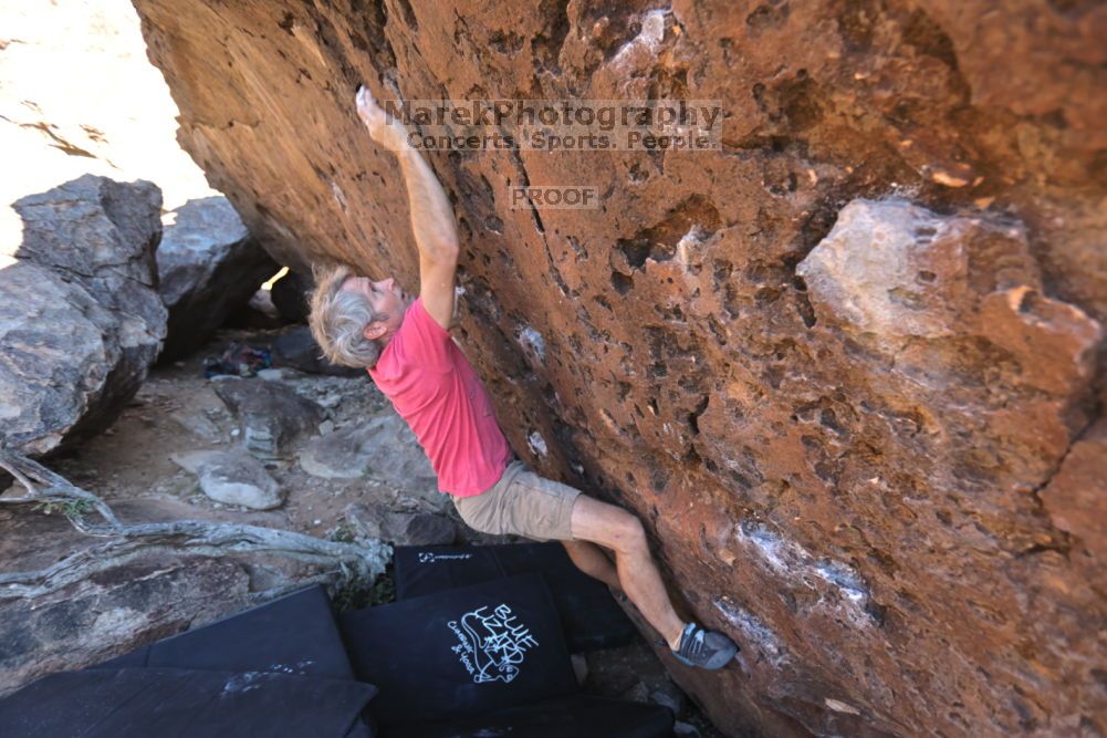 

Filename: SRM_20211203_1430070.jpg
Aperture: f/4.0
Shutter Speed: 1/500
Body: Canon EOS R6
Lens: Canon EF 16-35mm f/2.8 L