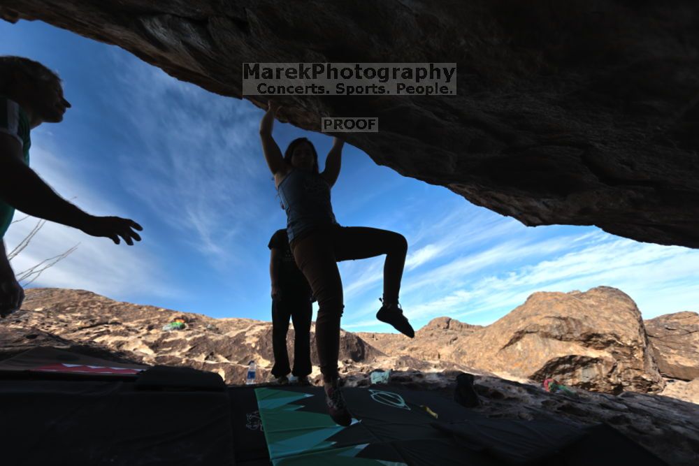 

Filename: SRM_20211204_1013420.jpg
Aperture: f/4.0
Shutter Speed: 1/500
Body: Canon EOS R6
Lens: Canon EF 16-35mm f/2.8 L