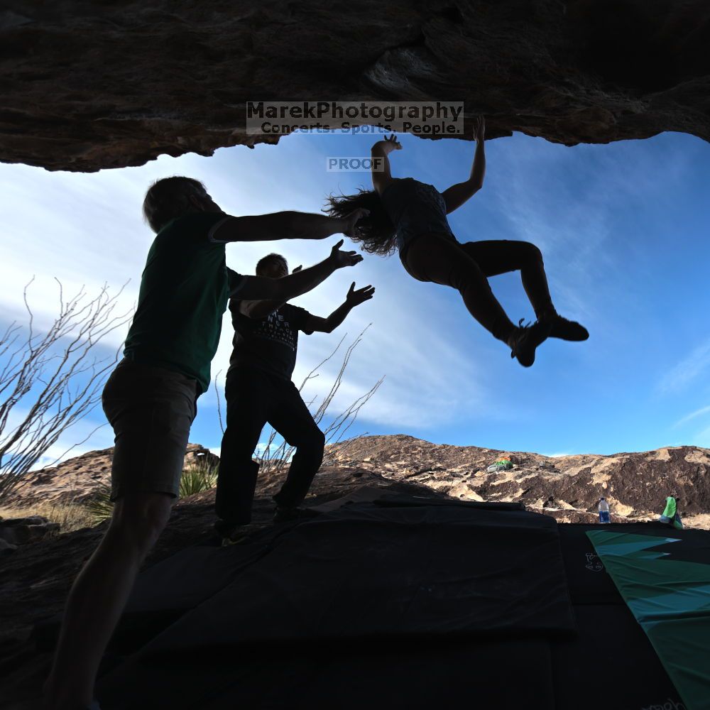 

Filename: SRM_20211204_1017500.jpg
Aperture: f/4.0
Shutter Speed: 1/500
Body: Canon EOS R6
Lens: Canon EF 16-35mm f/2.8 L