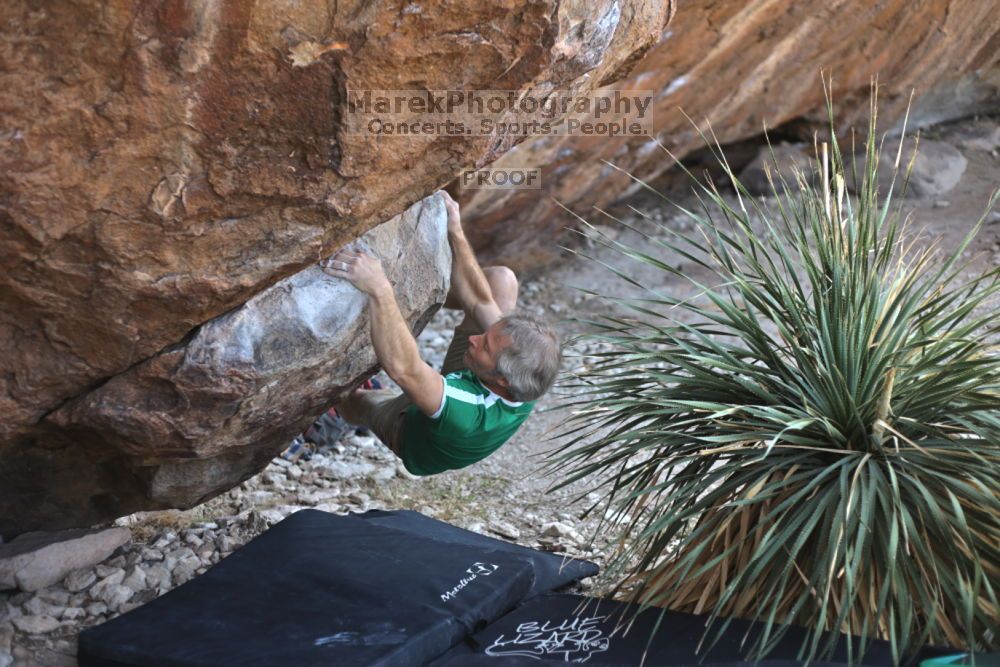 

Filename: SRM_20211204_1229280.jpg
Aperture: f/2.8
Shutter Speed: 1/500
Body: Canon EOS R6
Lens: Canon EF 50mm f/1.8 II