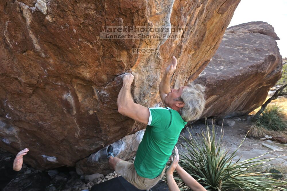 

Filename: SRM_20211204_1245310.jpg
Aperture: f/5.6
Shutter Speed: 1/500
Body: Canon EOS R6
Lens: Canon EF 16-35mm f/2.8 L