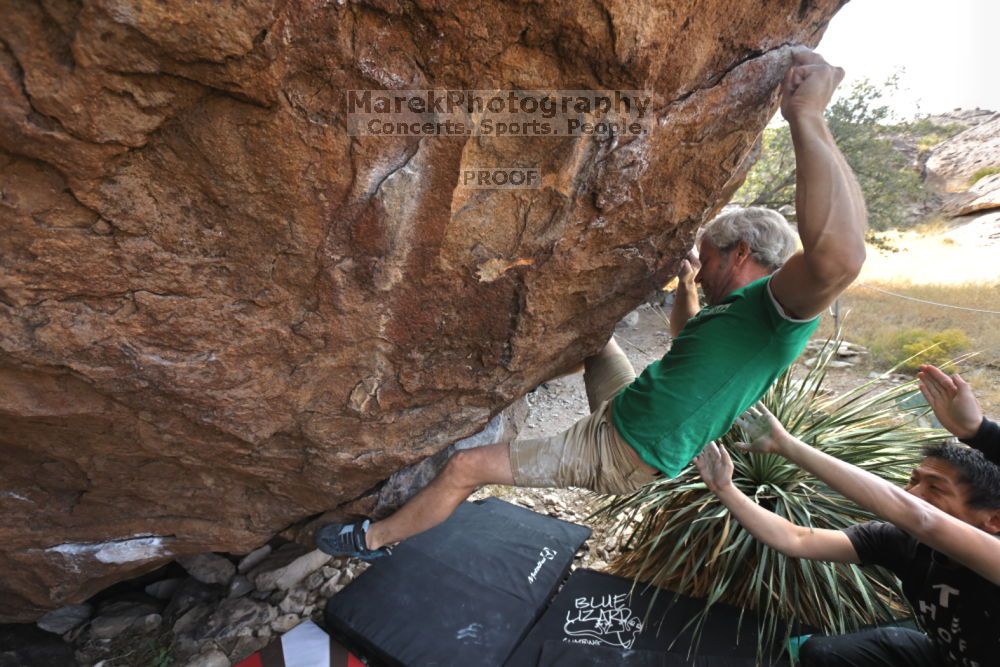 

Filename: SRM_20211204_1255490.jpg
Aperture: f/5.6
Shutter Speed: 1/500
Body: Canon EOS R6
Lens: Canon EF 16-35mm f/2.8 L