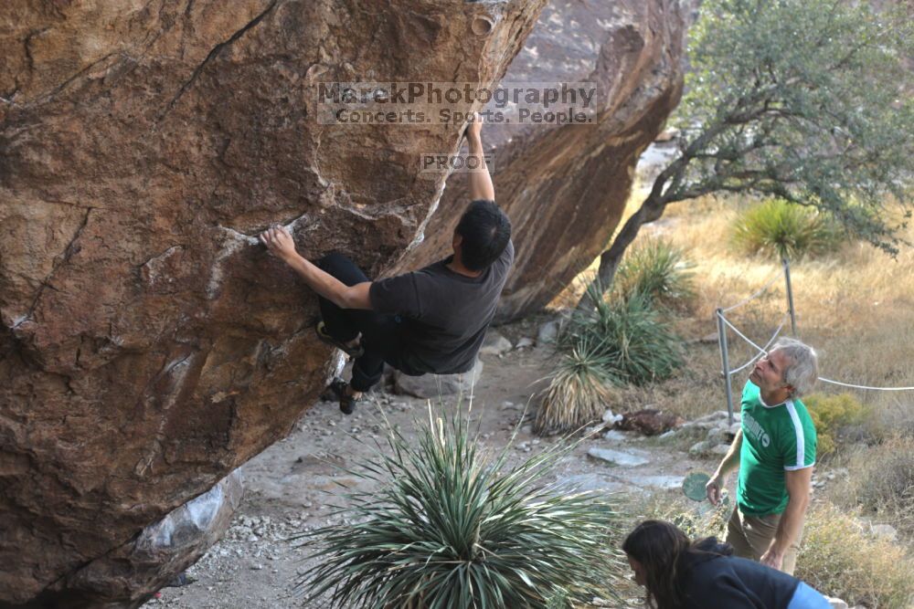 

Filename: SRM_20211204_1312150.jpg
Aperture: f/4.0
Shutter Speed: 1/500
Body: Canon EOS R6
Lens: Canon EF 50mm f/1.8 II