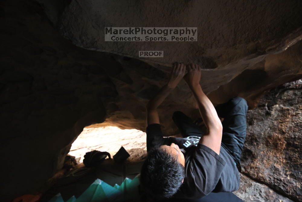 

Filename: SRM_20211204_1440150.jpg
Aperture: f/4.0
Shutter Speed: 1/250
Body: Canon EOS R6
Lens: Canon EF 16-35mm f/2.8 L