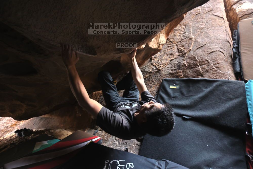 

Filename: SRM_20211204_1440210.jpg
Aperture: f/4.0
Shutter Speed: 1/250
Body: Canon EOS R6
Lens: Canon EF 16-35mm f/2.8 L