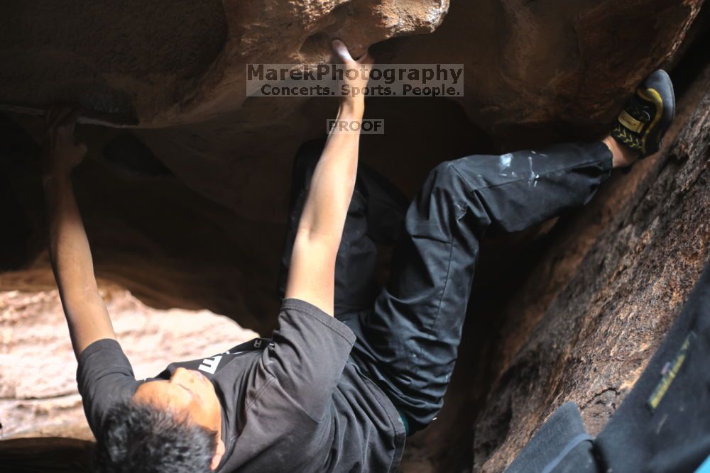 

Filename: SRM_20211204_1456090.jpg
Aperture: f/2.8
Shutter Speed: 1/250
Body: Canon EOS R6
Lens: Canon EF 50mm f/1.8 II