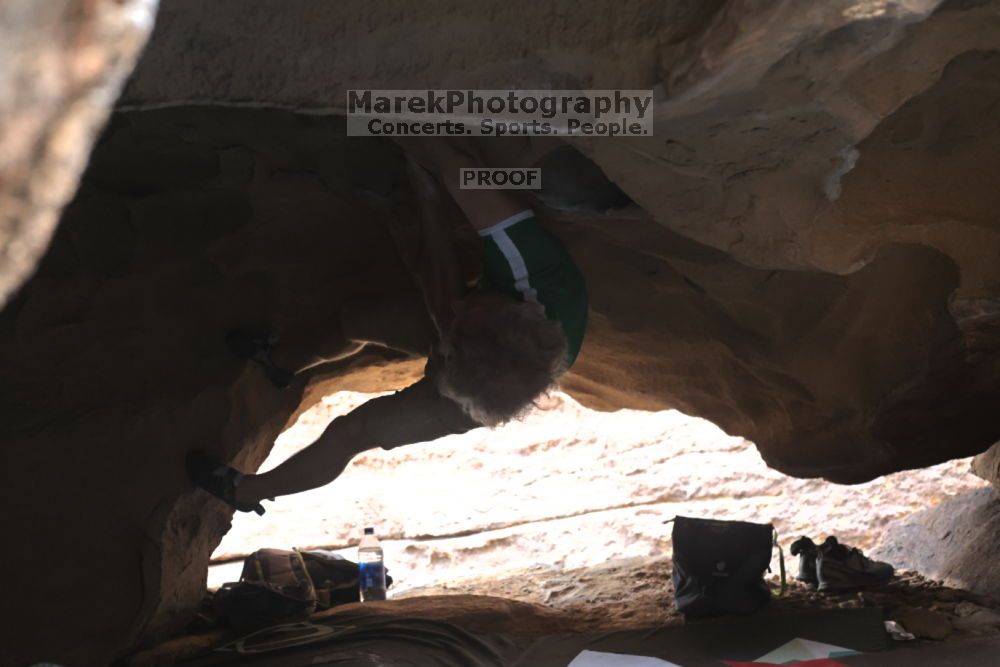 

Filename: SRM_20211204_1506480.jpg
Aperture: f/4.0
Shutter Speed: 1/250
Body: Canon EOS R6
Lens: Canon EF 50mm f/1.8 II