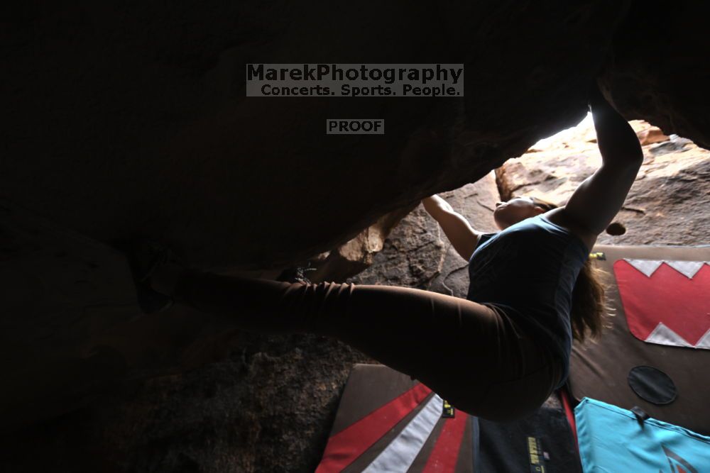 

Filename: SRM_20211204_1529510.jpg
Aperture: f/4.0
Shutter Speed: 1/250
Body: Canon EOS R6
Lens: Canon EF 16-35mm f/2.8 L