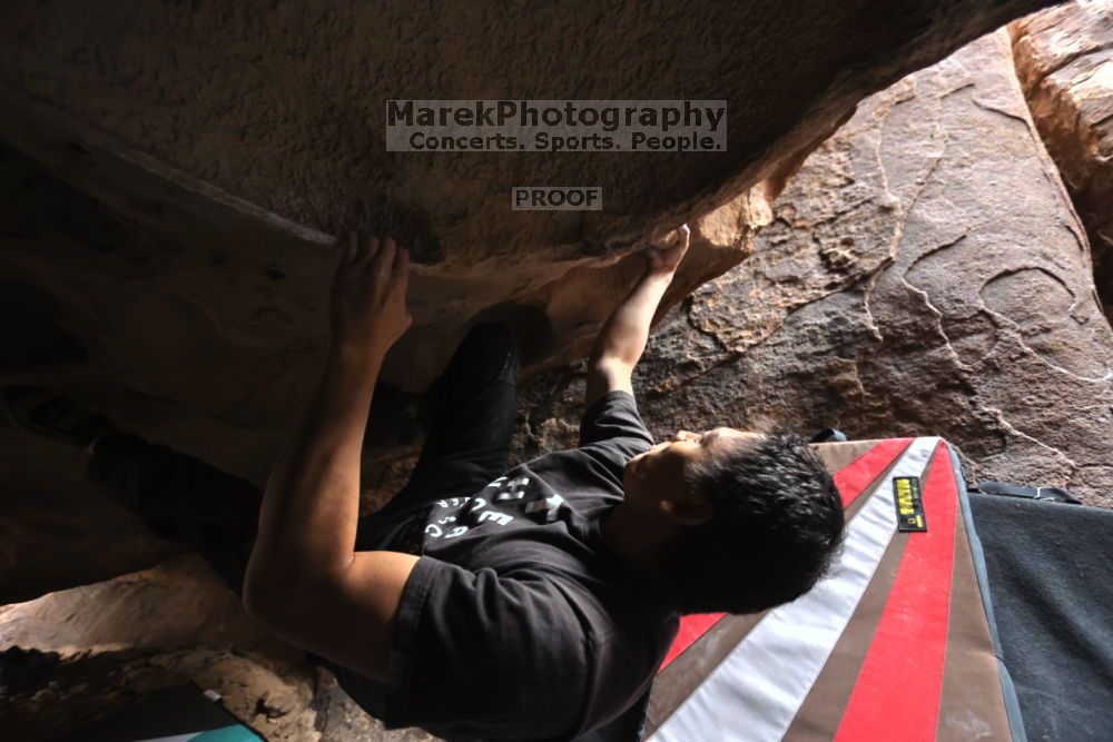 

Filename: SRM_20211204_1532090.jpg
Aperture: f/4.0
Shutter Speed: 1/250
Body: Canon EOS R6
Lens: Canon EF 16-35mm f/2.8 L